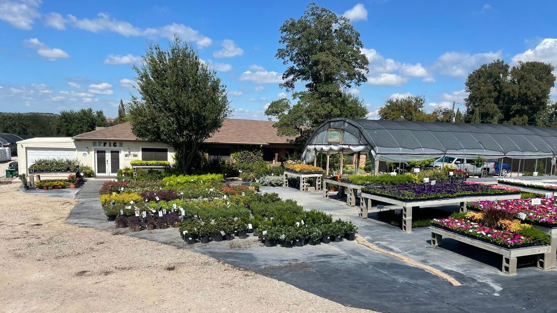 Color Crop Nursery Front View of Physical Location