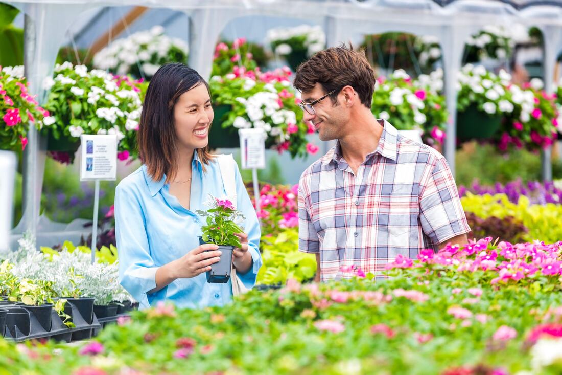 Satisfied Customers Shopping at Color Crop Nursery